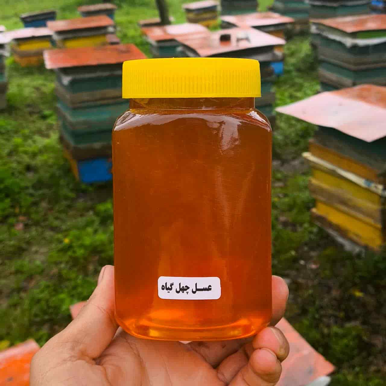 عسل چهل گیاه کوهدار مناسب عرضه عمده